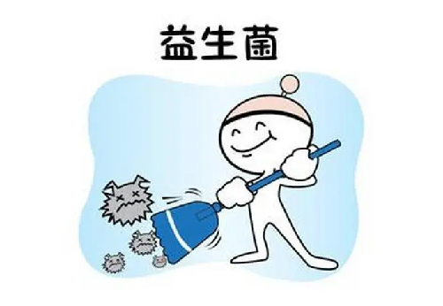 益生菌怎么做小紅書(shū)種草？